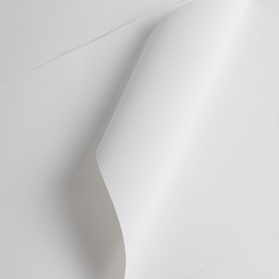 JT300M1 - Toile Écologique sans PVC Satin